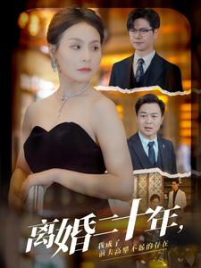 离婚二十年，我成了前夫高攀不起的存在 第01集
