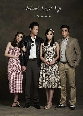 爱妻普通话版(全集)